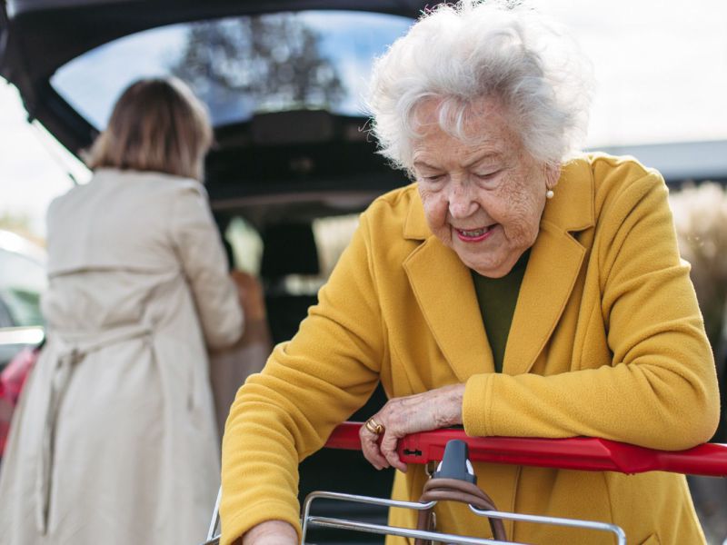Commonwealth Home Support Program